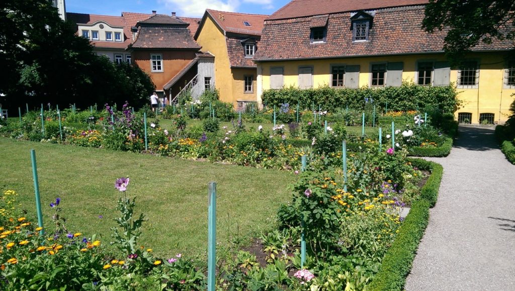 Entspannung nach vielen Informationen im wunderschönen Garten des Goethehauses.